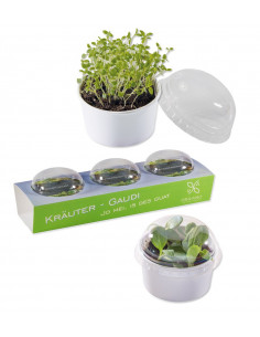 Set of 3 mini-greenhouse