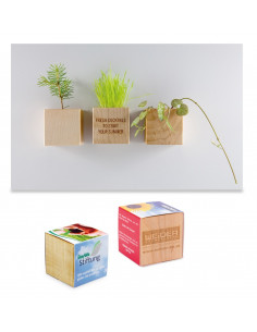 Plant-wood magnet